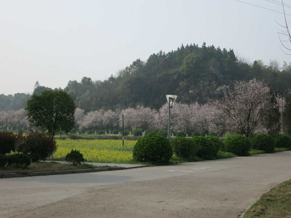 写真5