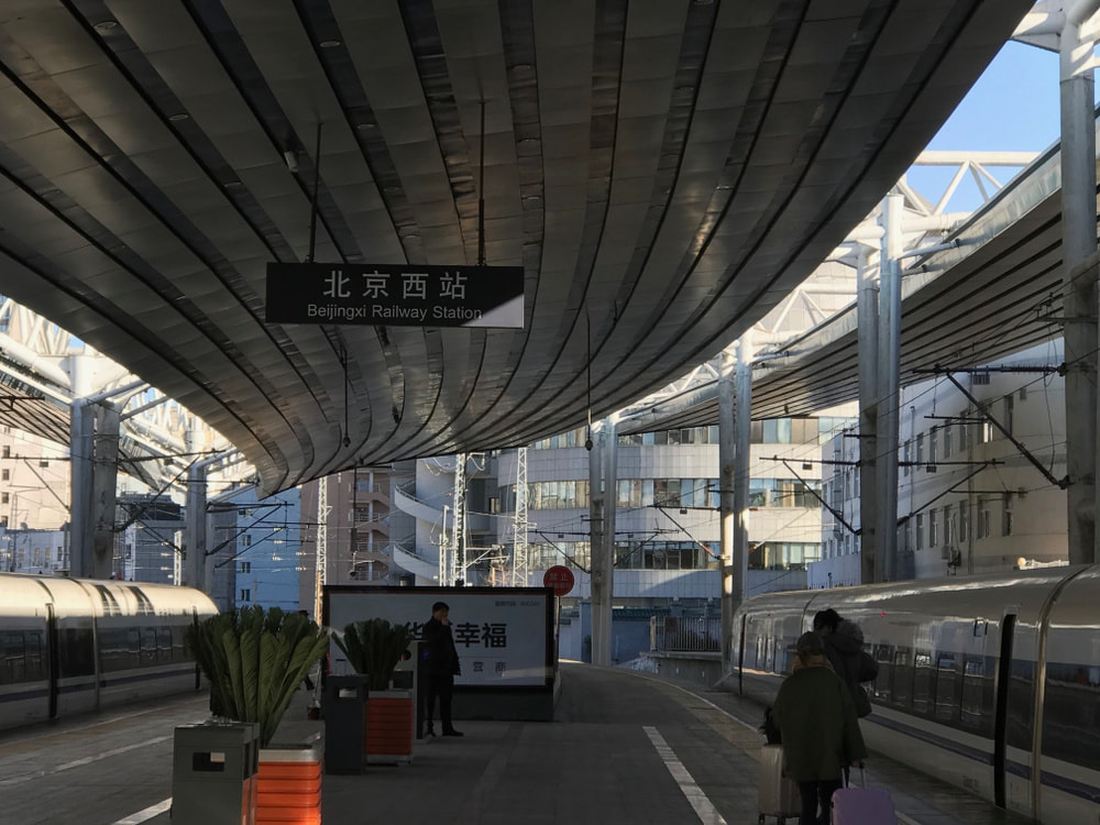写真5